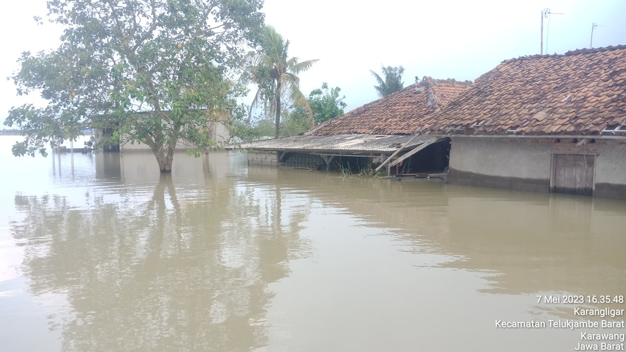 Tanpa Solusi, Bertahun-tahun Warga Karangligar Karawang Hidup dengan Banjir