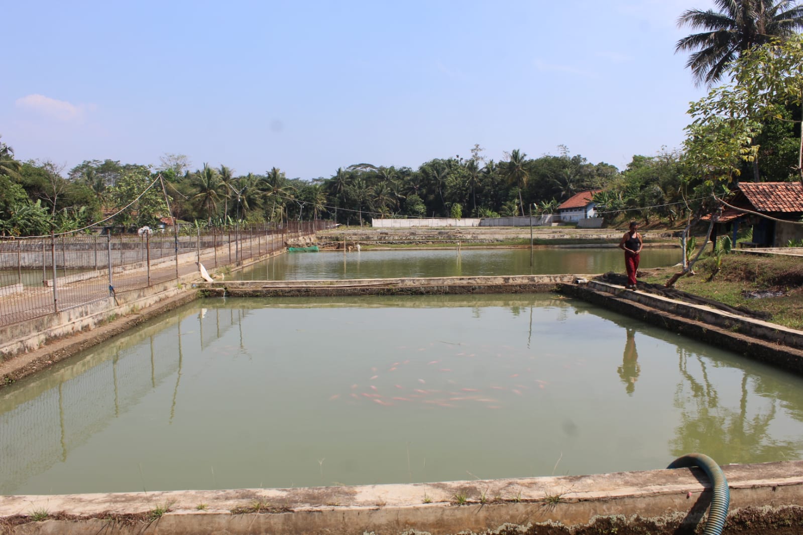 Foto tampak dalam Balai Benih Ikan Cibogogirang (Sumber: Dokumen KKN Unsika Kelompok 30)